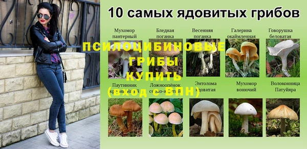 твердый Алексин