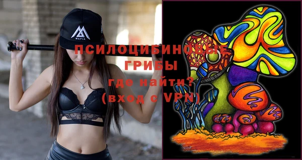 ПСИЛОЦИБИНОВЫЕ ГРИБЫ Мегион