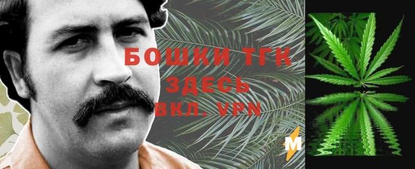 тгк Алзамай