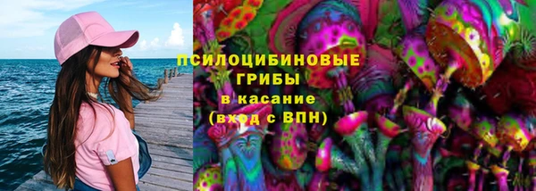 твердый Алексин