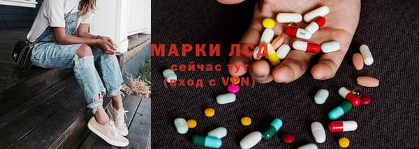 тгк Алзамай