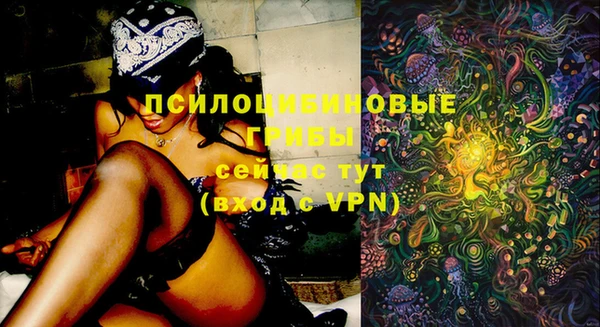 тгк Алзамай