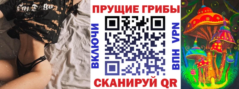 Псилоцибиновые грибы Cubensis  Красногорск 