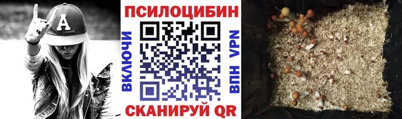 Псилоцибиновые грибы GOLDEN TEACHER Красногорск
