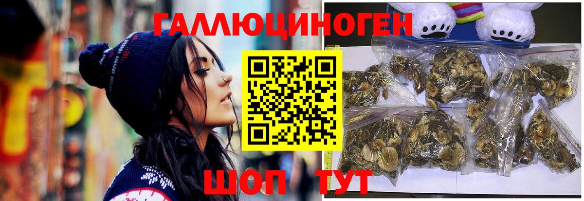 Галлюциногенные грибы мицелий  Вход с VPN  купить наркотики сайты  Красногорск  Псилоцибиновые грибы Magic Shrooms 