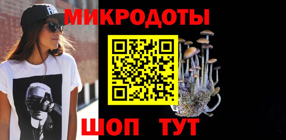Галлюциногенные грибы Psilocybe Красногорск